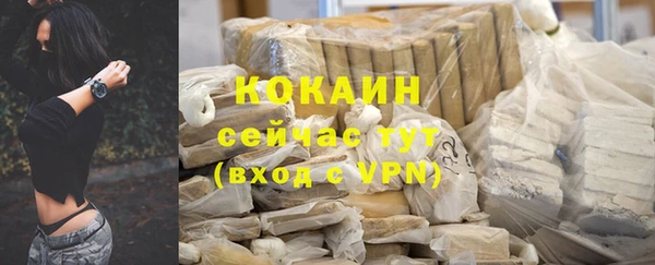 PSILOCYBIN Пестово