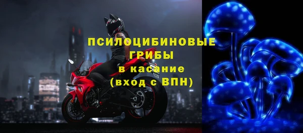 шишки Пересвет