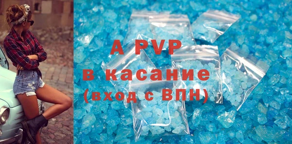 шишки Пересвет