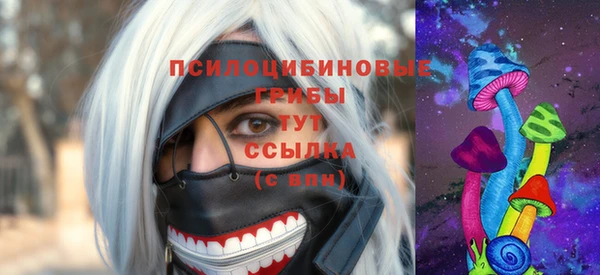 шишки Пересвет