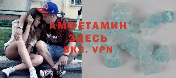 шишки Пересвет