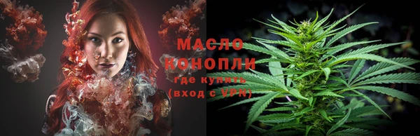 шишки Пересвет