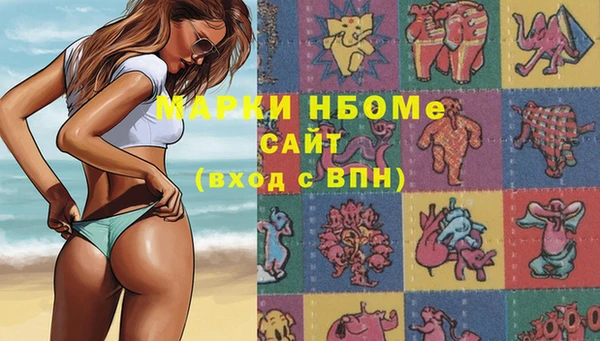шишки Пересвет