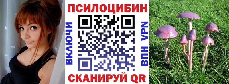 Галлюциногенные грибы GOLDEN TEACHER  купить наркотики сайты  Старица 