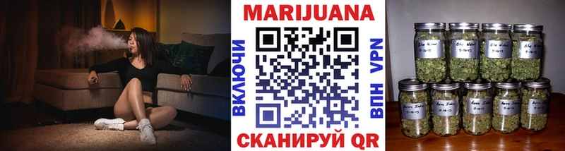 Канабис гибрид  Старица 